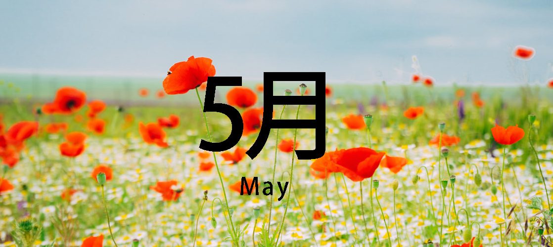 5月