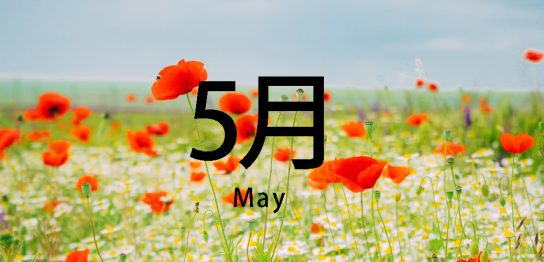 5月