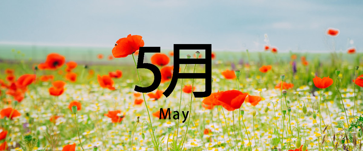 5月